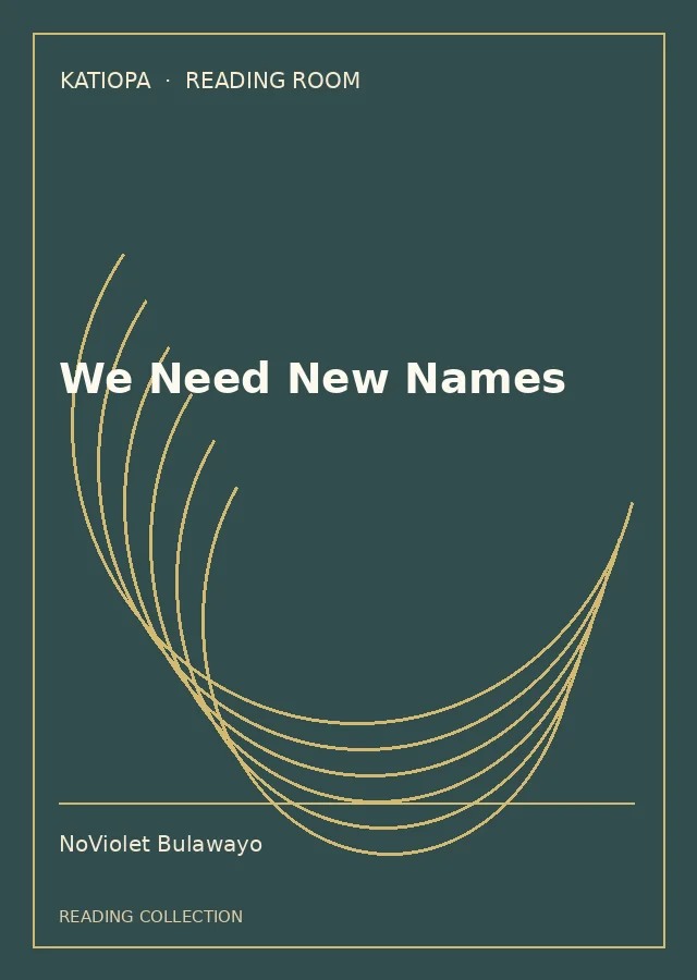 Cover of We Need New Names